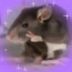 Meet your Posher, Martha